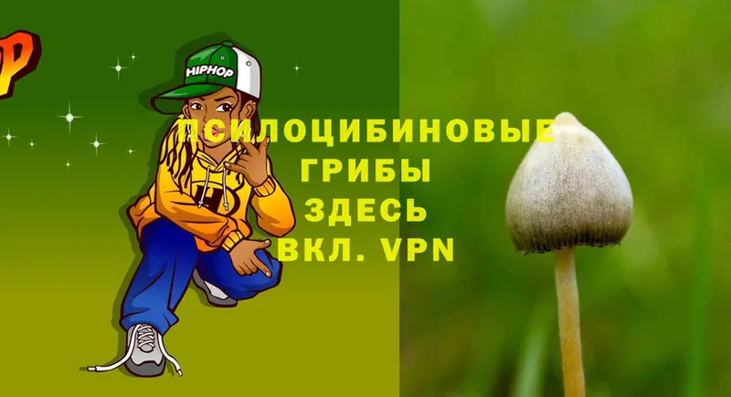 Галлюциногенные грибы Magic Shrooms  Байкальск 